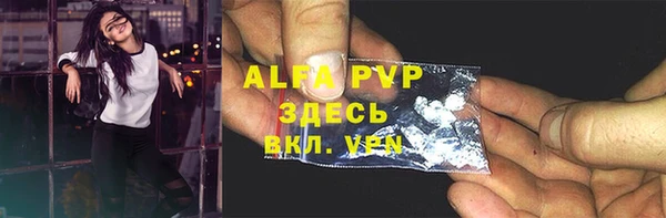 прущие грибы Богородск