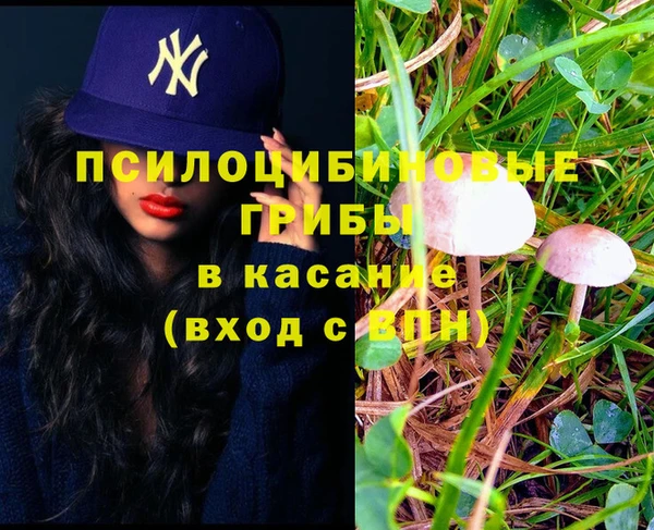 mix Белокуриха